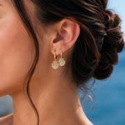 18K Solid Gold Natural Diamonds Sea Shell Earrings